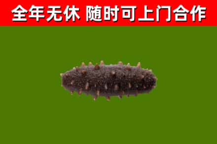 青浦区烟酒回收干海参.jpg